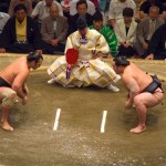 Hatsune Igaki - sumo fan