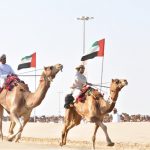 Camel racing in the UAE